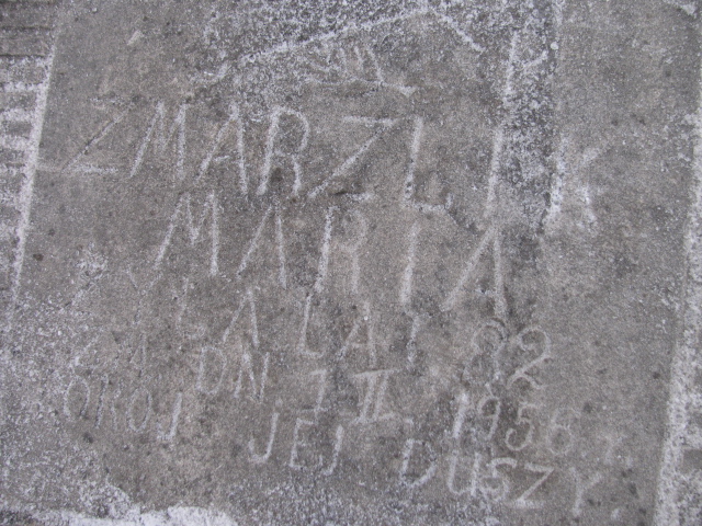 Maria Zmarzlik 1874 Chechło - Grobonet - Wyszukiwarka osób pochowanych