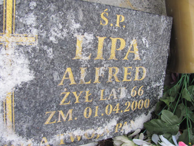 Alfred Lipa 1934 Chechło - Grobonet - Wyszukiwarka osób pochowanych