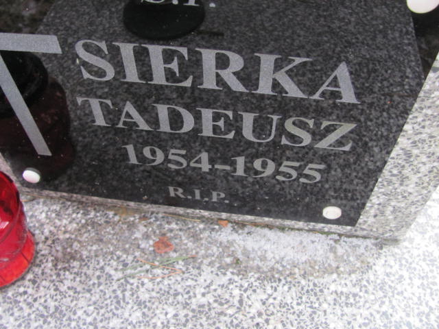 Tadeusz Sierka 1954 Chechło - Grobonet - Wyszukiwarka osób pochowanych