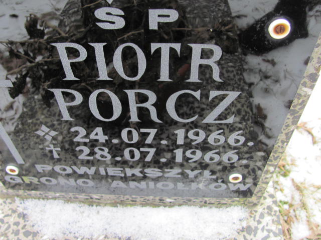 Piotr Porcz 1966 Chechło - Grobonet - Wyszukiwarka osób pochowanych